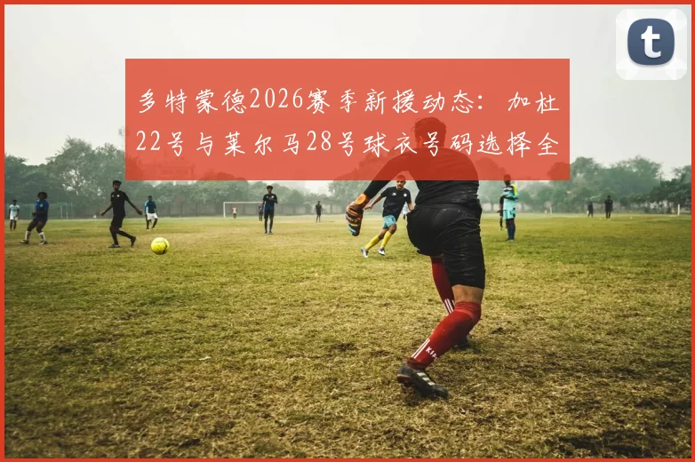 多特蒙德2026赛季新援动态：加杜22号与莱尔马28号球衣号码选择全解析，附多特球衣号码传统揭秘